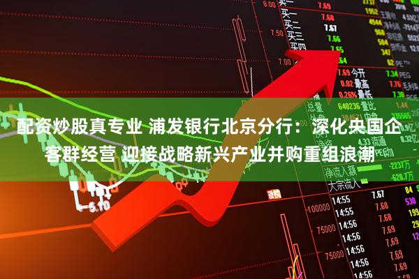 配资炒股真专业 浦发银行北京分行：深化央国企客群经营 迎接战略新兴产业并购重组浪潮