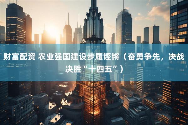 财富配资 农业强国建设步履铿锵（奋勇争先，决战决胜“十四五”）